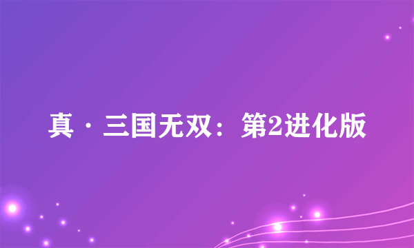 真·三国无双：第2进化版