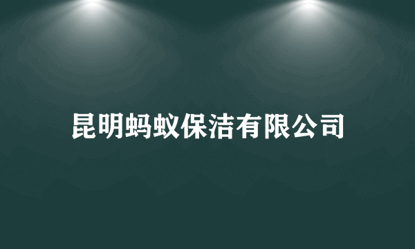 昆明蚂蚁保洁有限公司
