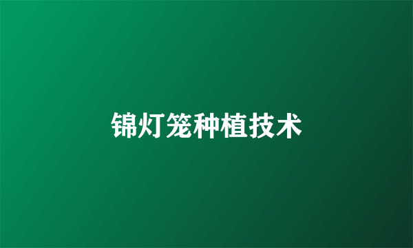 锦灯笼种植技术