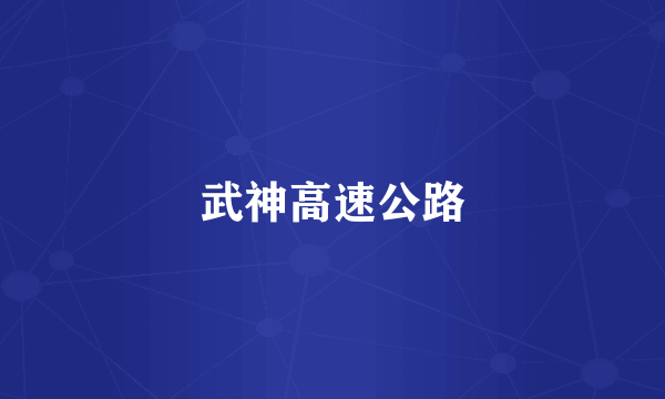 武神高速公路
