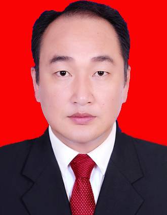 林华（湖南省怀化市城市管理和综合执法局党组书记）