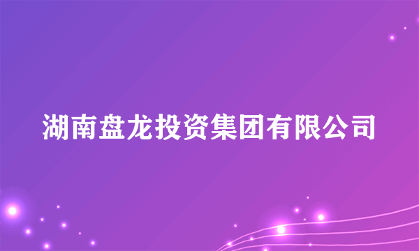 湖南盘龙投资集团有限公司