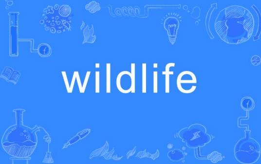 wildlife