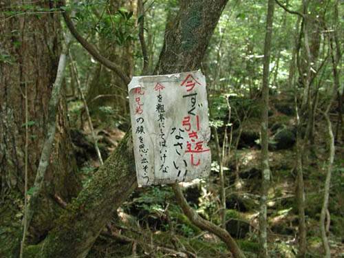 青木原树海（自然地理）