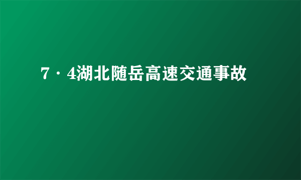 7·4湖北随岳高速交通事故