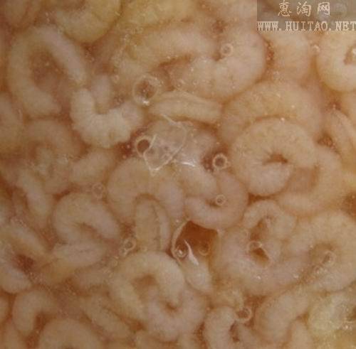 蜂王幼虫