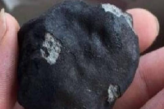 顽辉橄榄球粒陨石