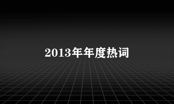 2013年年度热词