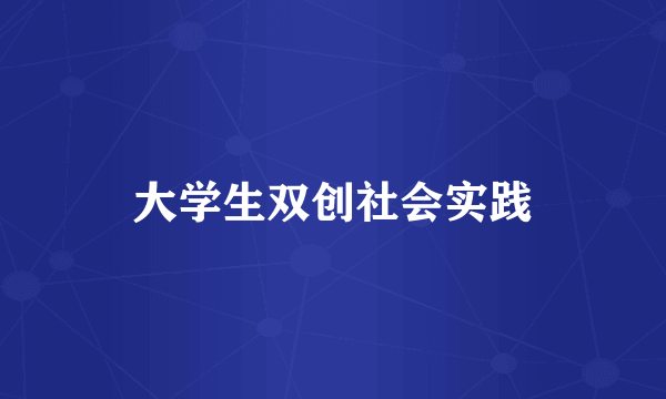 大学生双创社会实践