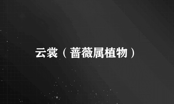 云裳（蔷薇属植物）