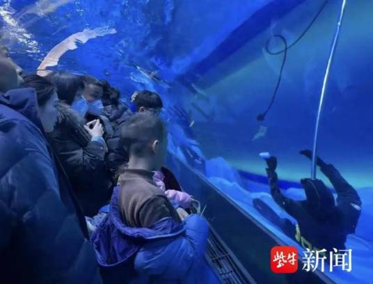 2·12郑州海昌海洋馆潜水员溺亡事件