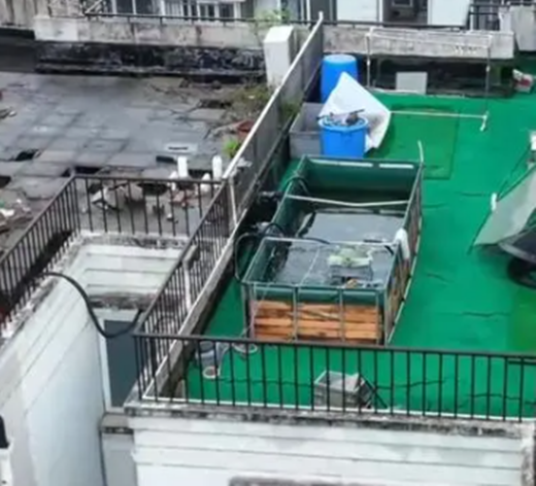 4·8虹口居民楼巨大鱼池事件