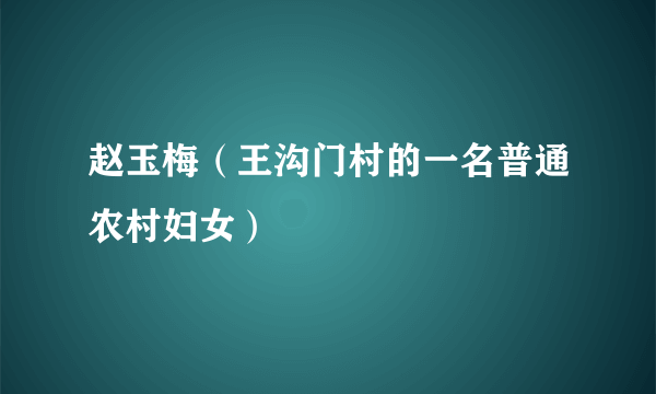 赵玉梅（王沟门村的一名普通农村妇女）