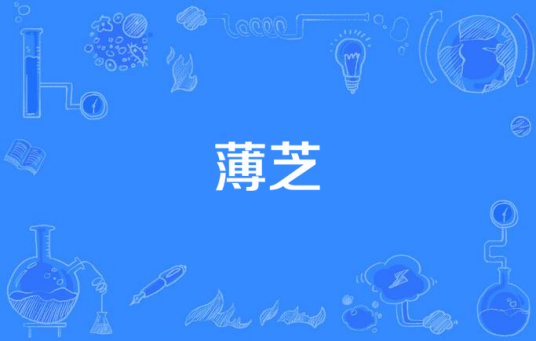 薄芝
