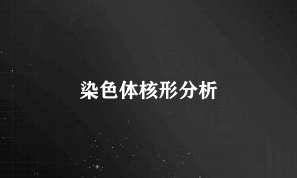 染色体核形分析