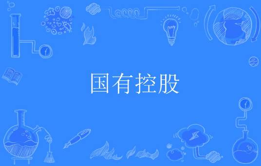国有控股