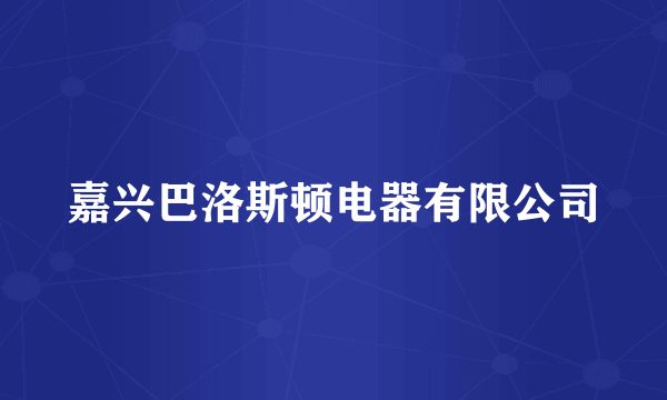 嘉兴巴洛斯顿电器有限公司