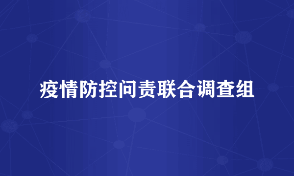 疫情防控问责联合调查组