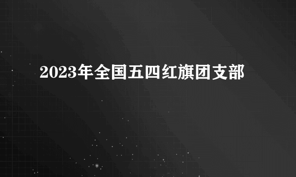 2023年全国五四红旗团支部