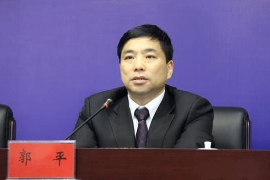 郭平（湖南湘投控股集团有限公司原党委委员、副总经理）