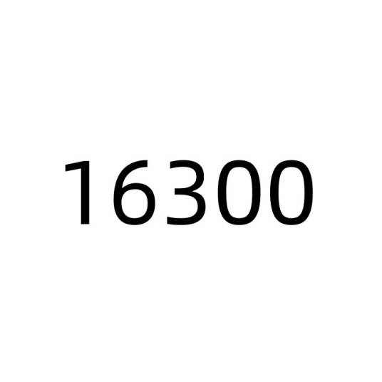 16300