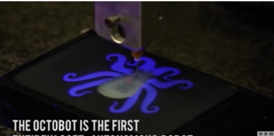 Octobot
