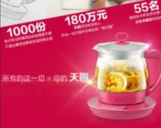 广东丽电