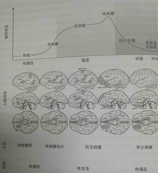 性兴趣网络