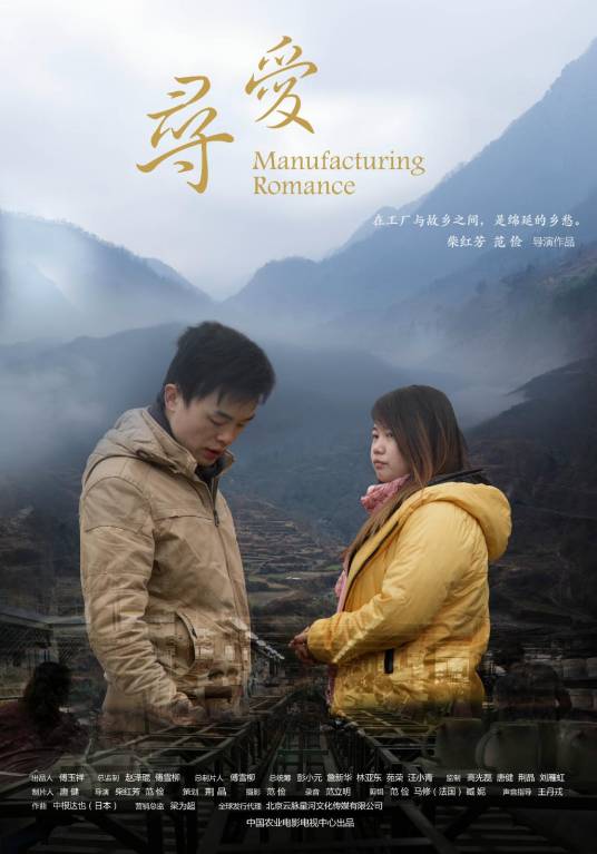 寻爱（2015年柴红芳、范俭联合执导的纪录片）