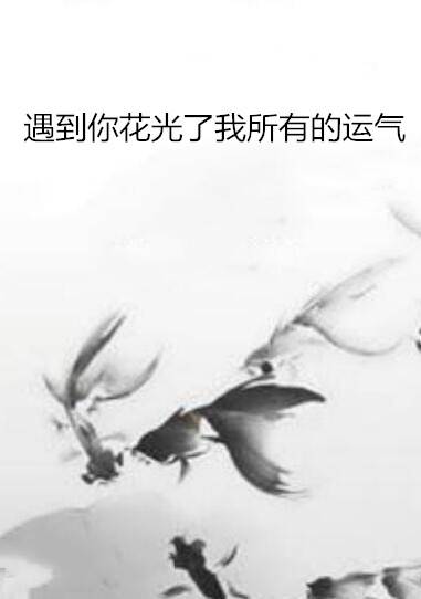 遇到你花光了我所有的运气