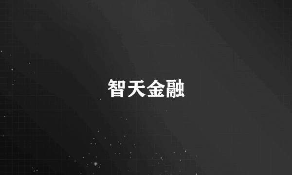 智天金融