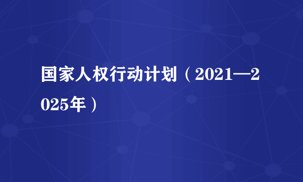 国家人权行动计划（2021—2025年）