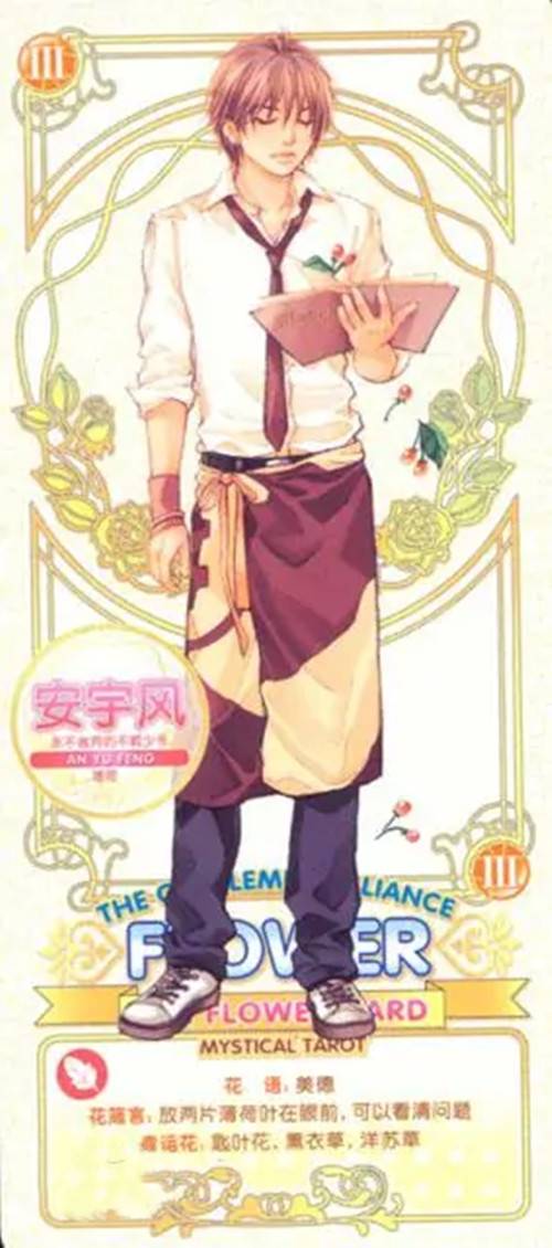 安宇风（小说《壁花小姐奇遇记》及衍生作品中的角色）