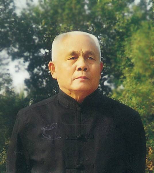 段宏伟（逍遥门第十二代掌门）