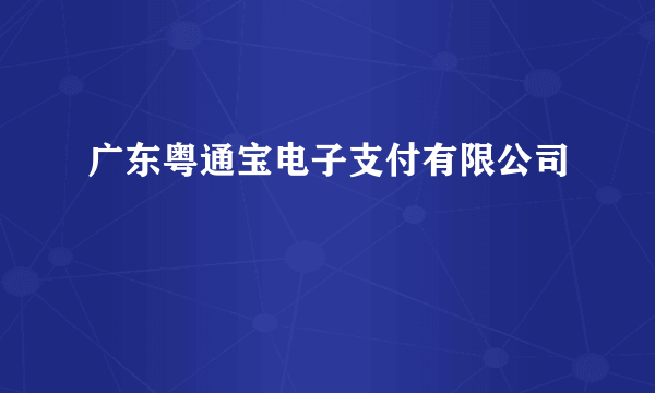 广东粤通宝电子支付有限公司