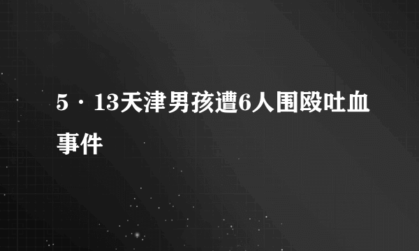 5·13天津男孩遭6人围殴吐血事件