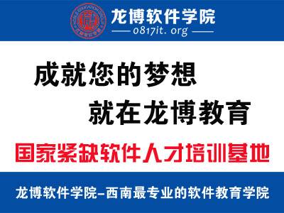 南充龙博软件学院