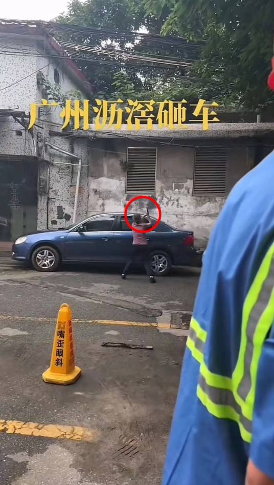 5·13广州老太砸毁汽车事件