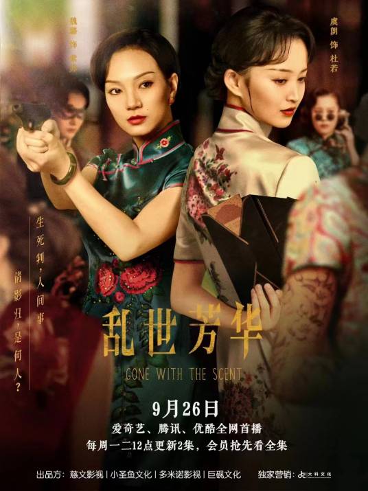 乱世芳华（中国大陆2022年由田键执导的电视剧）