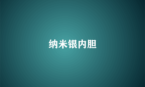 纳米银内胆
