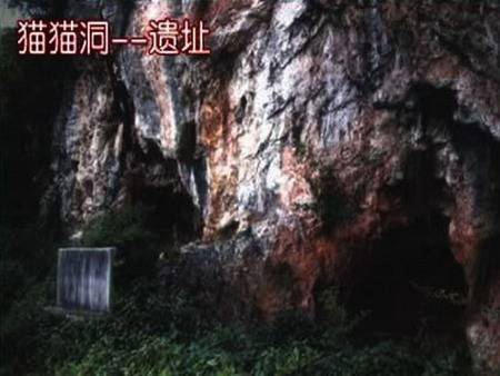 猫猫洞遗址