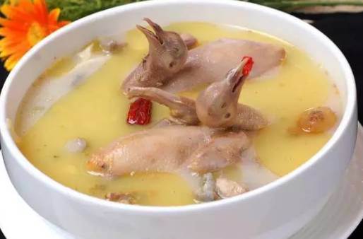 清炖鸽子