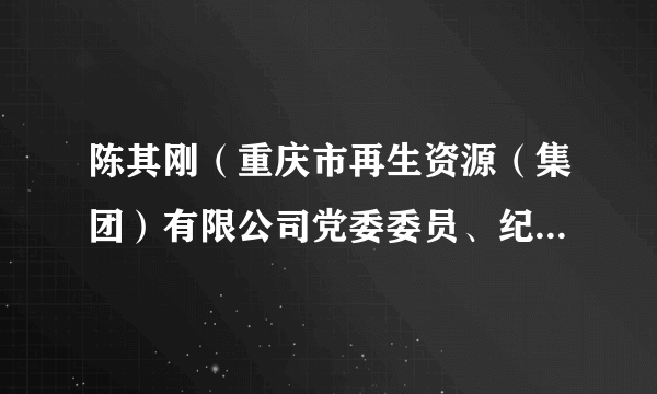 陈其刚（重庆市再生资源（集团）有限公司党委委员、纪委书记、监事会主席）