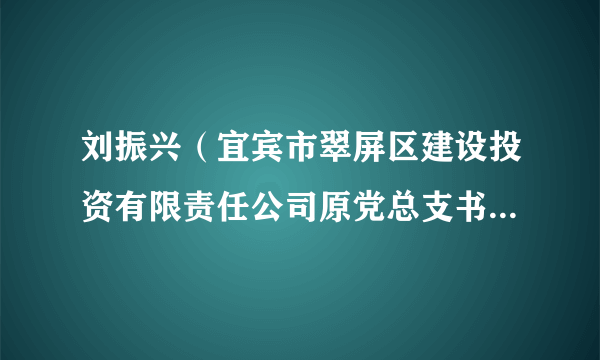 刘振兴（宜宾市翠屏区建设投资有限责任公司原党总支书记、董事长）