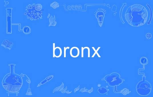 bronx