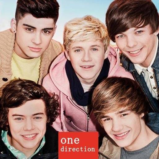 They Don't Know About Us（One Direction演唱歌曲）