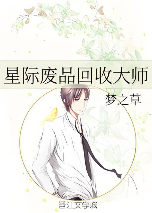星际废品回收大师