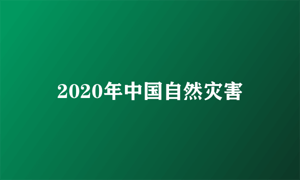 2020年中国自然灾害