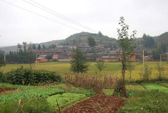 土桥村（广东省东莞市清溪镇土桥村）
