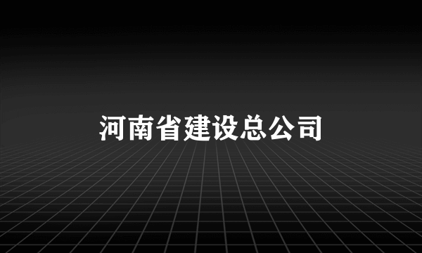 河南省建设总公司